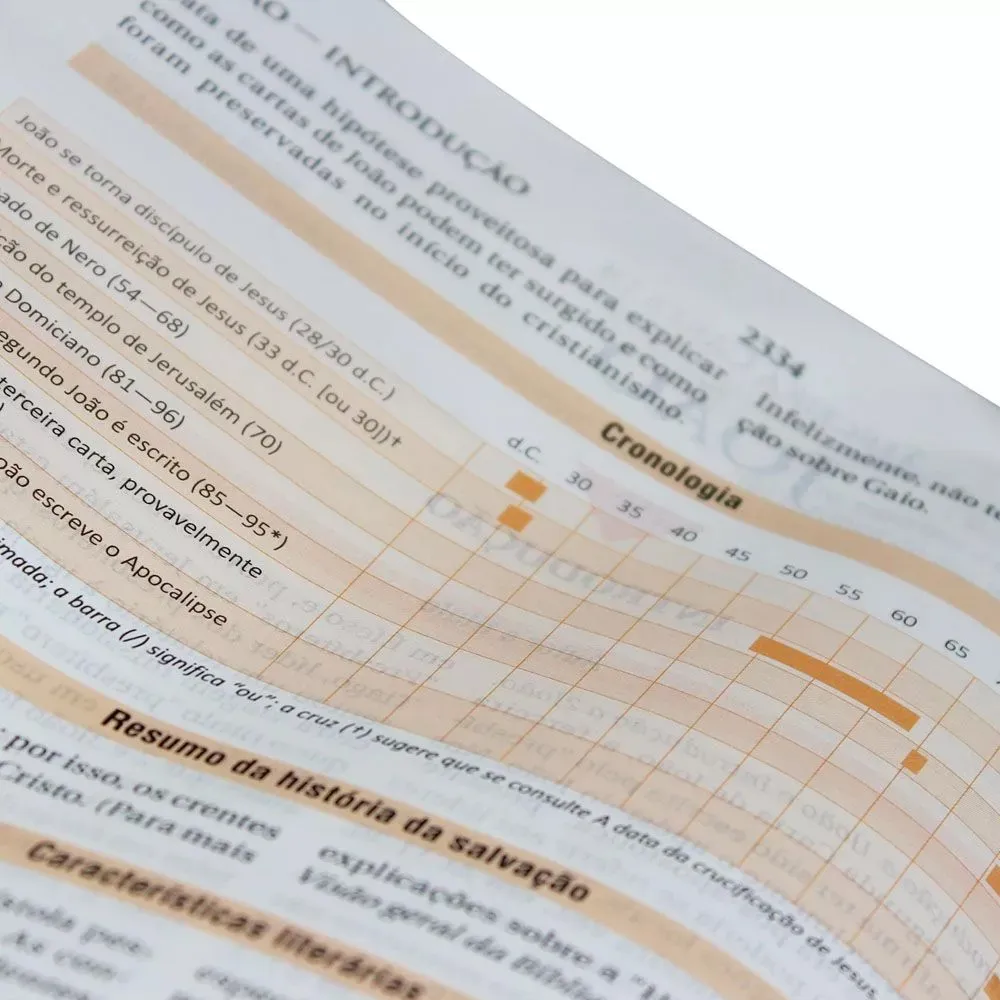 Bíblia de Estudo NAA - Imagem 3