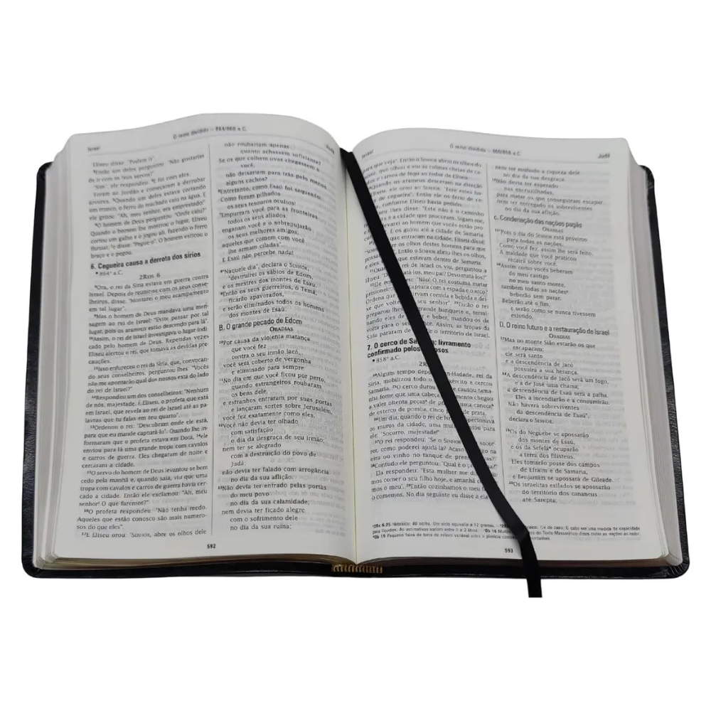 Biblia Em Ordem Cronologica