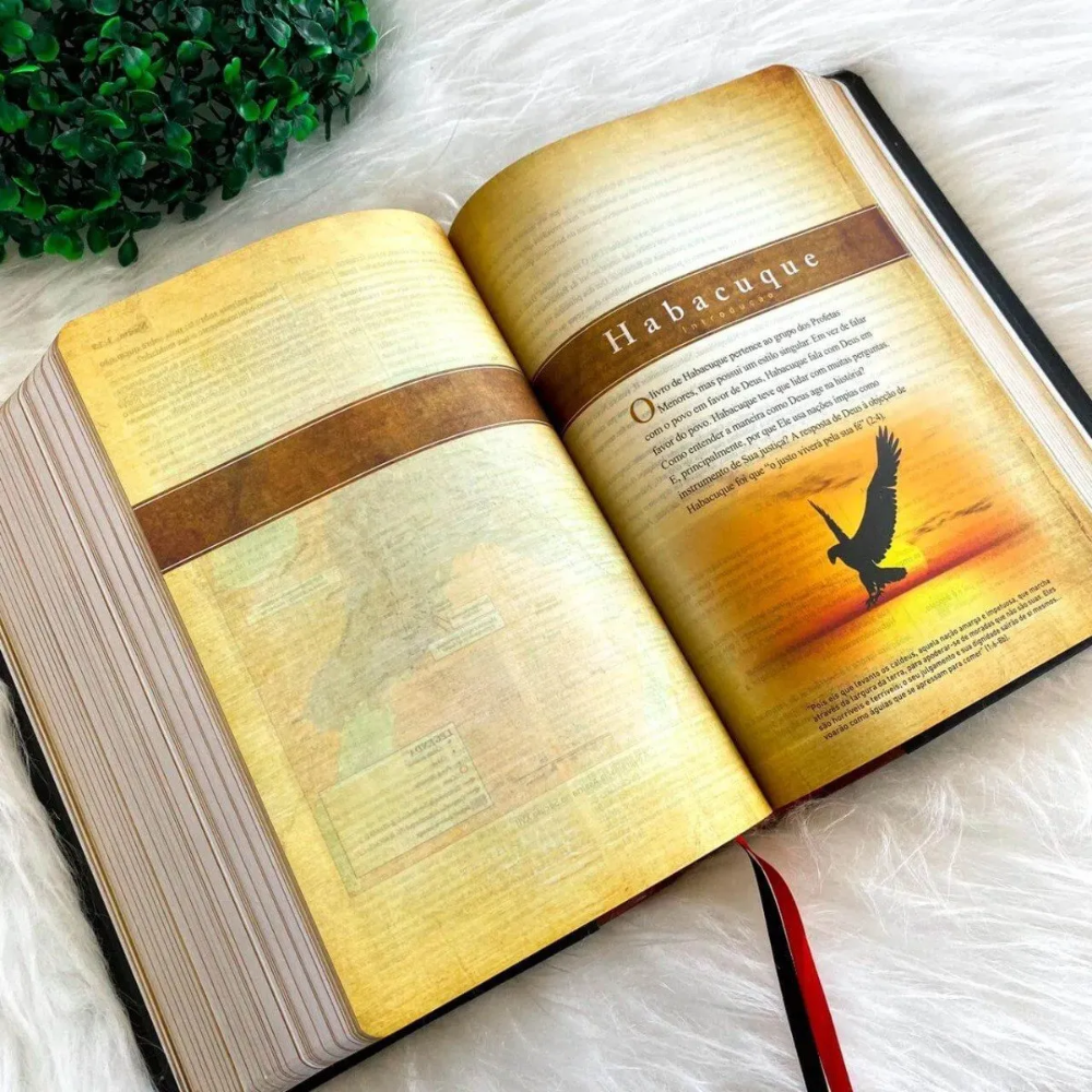 Biblia King James Com Estudo
