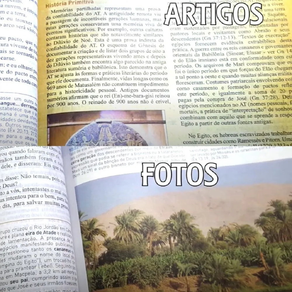 Bíblia King James 1611 Com Estudo Holman - Imagem 5