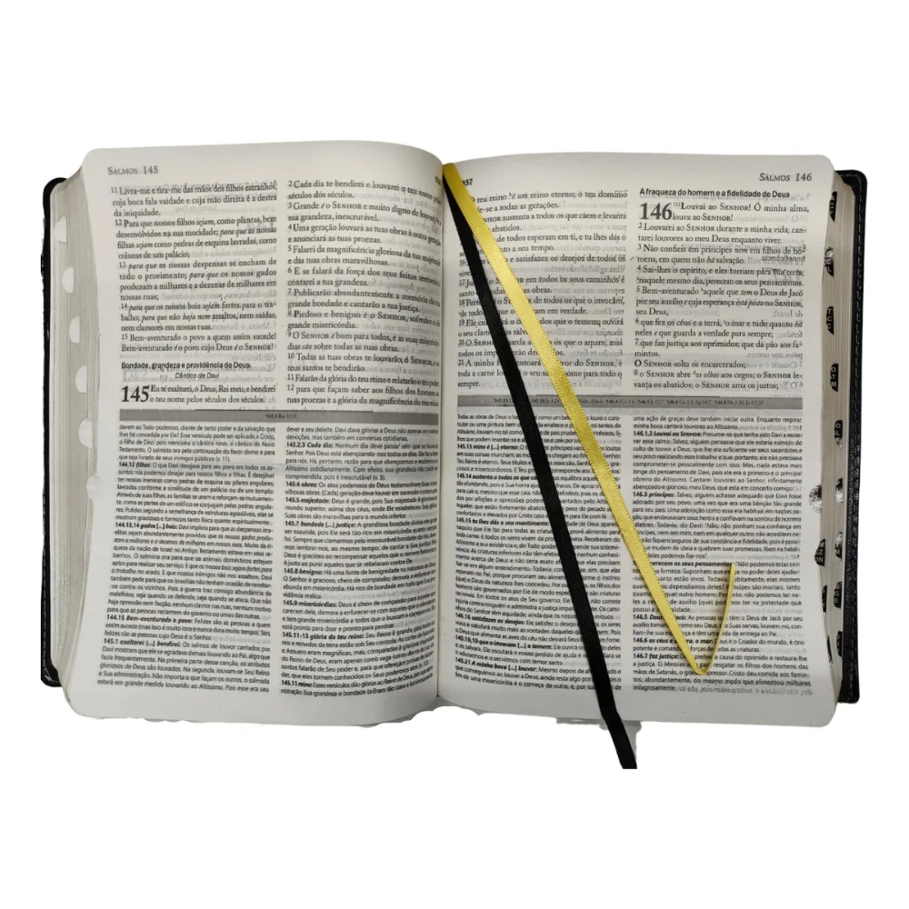 Bíblia de Estudo Matthew Henry - Imagem 4